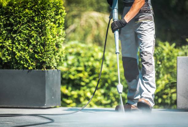 Best Boat and Dock Cleaning  in Travis Ranch, TX